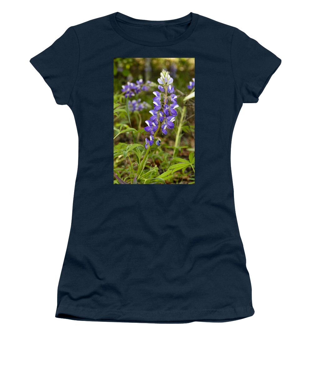 Alaska Women's T-Shirt featuring the photograph Alaskan Lupine in Denali Park by Penny Lisowski