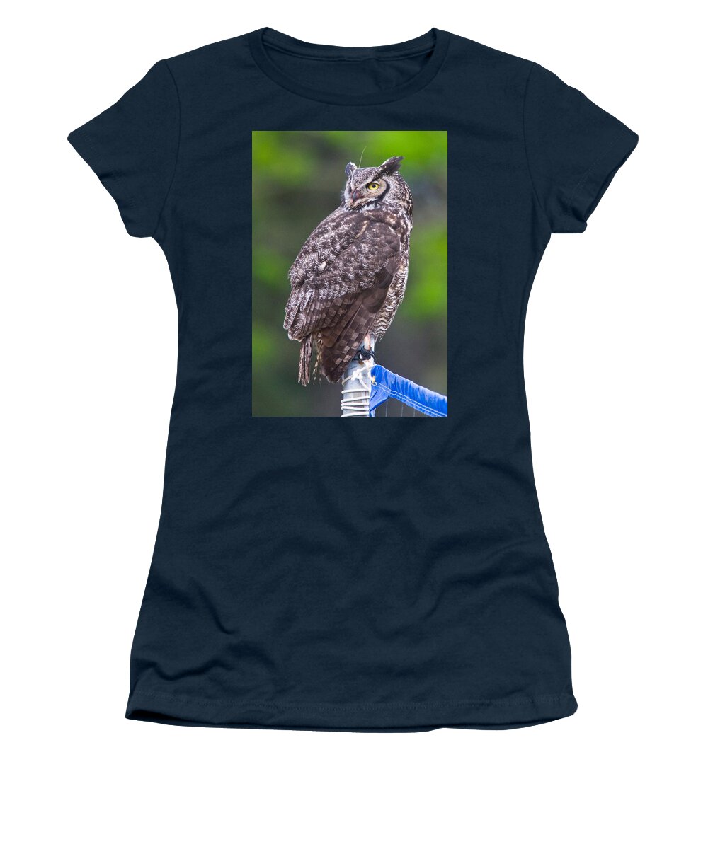 Wildlife Women's T-Shirt featuring the digital art Alaskan Owl by National Park Service