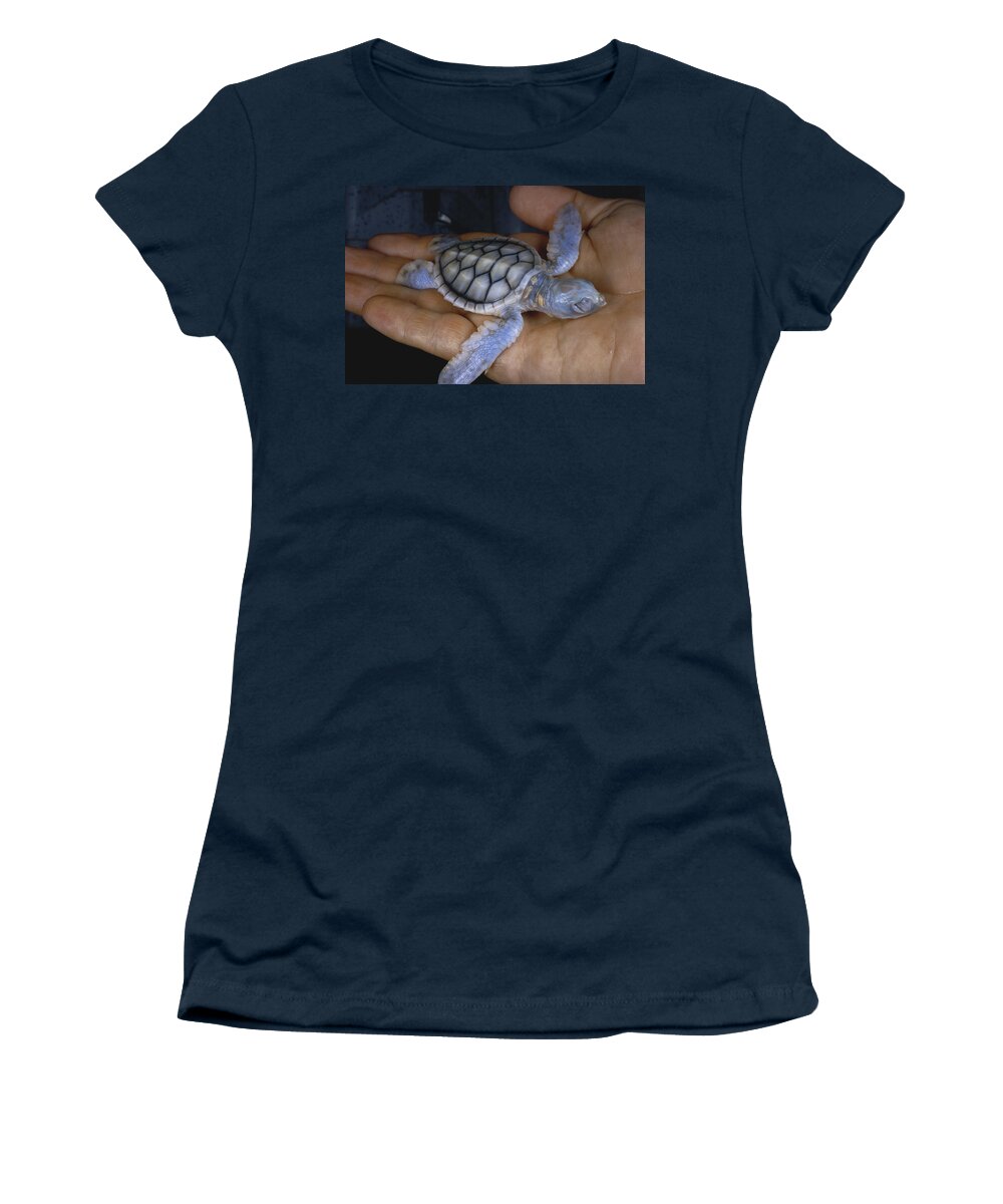 Albinic Women's T-Shirt featuring the photograph Albino Green Sea Turtle by Paul Zahl