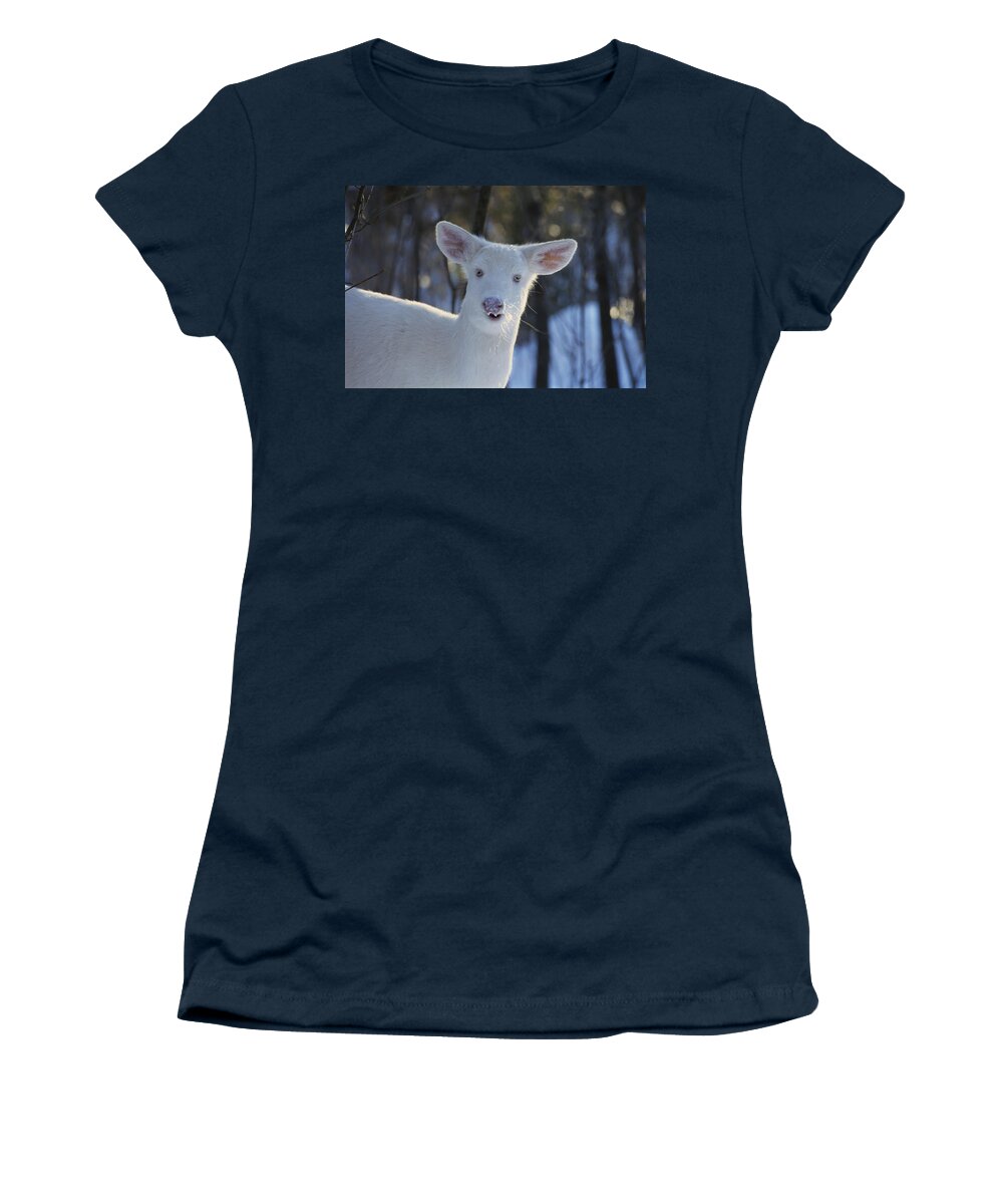 Albinic Women's T-Shirt featuring the photograph Albino White-tailed Deer by Thomas And Pat Leeson