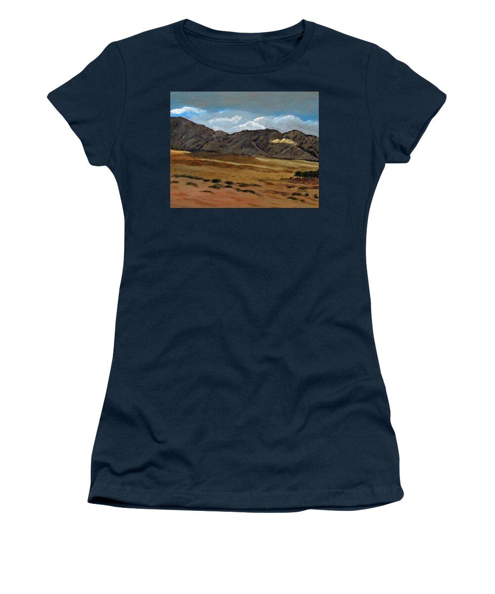 Israel Women's T-Shirt featuring the painting Along the way to Eilat by Linda Feinberg
