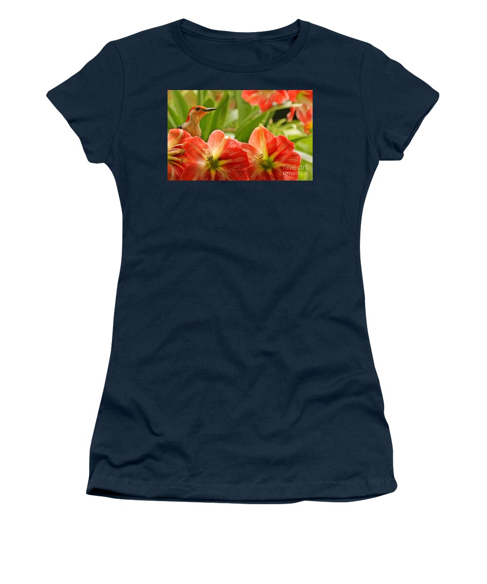 Red Belly Woodpecker Photo Women's T-Shirt featuring the photograph Woodpecker and Amaryllis Photo by Luana K Perez