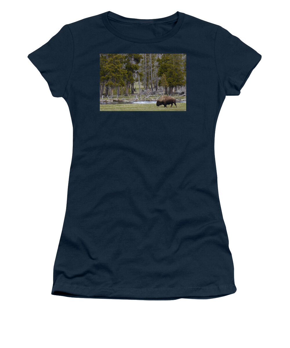 00210687 Women's T-Shirt featuring the photograph American Bison Male Yellowstone by Pete Oxford