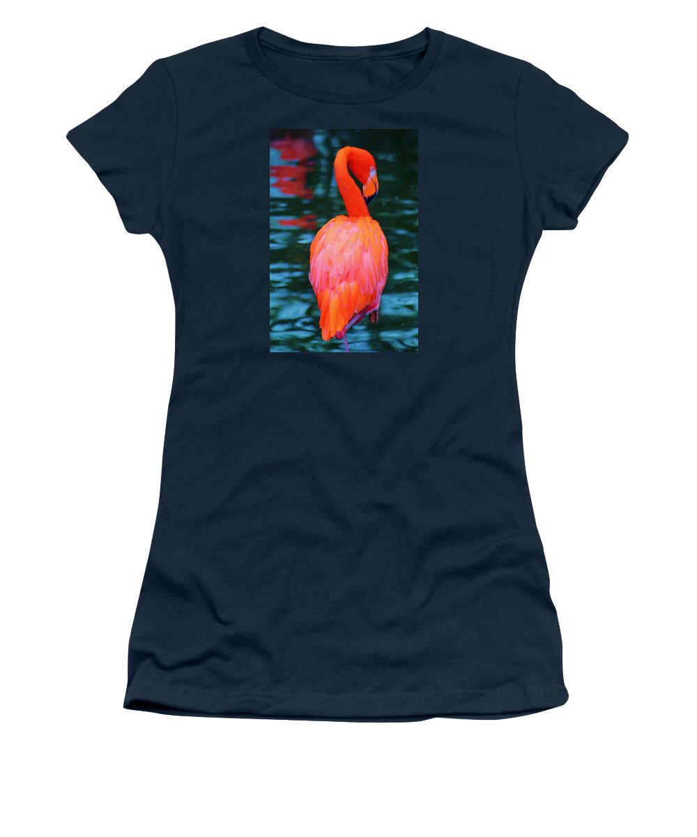 Flamingo Women's T-Shirt featuring the photograph American Flamingo In Blue by William Rockwell