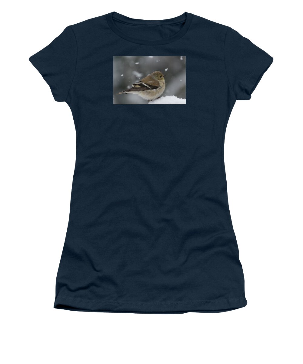 American Goldfinch In The Snow In Winter Women's T-Shirt featuring the photograph American Goldfinch in winter by Kenneth Cole