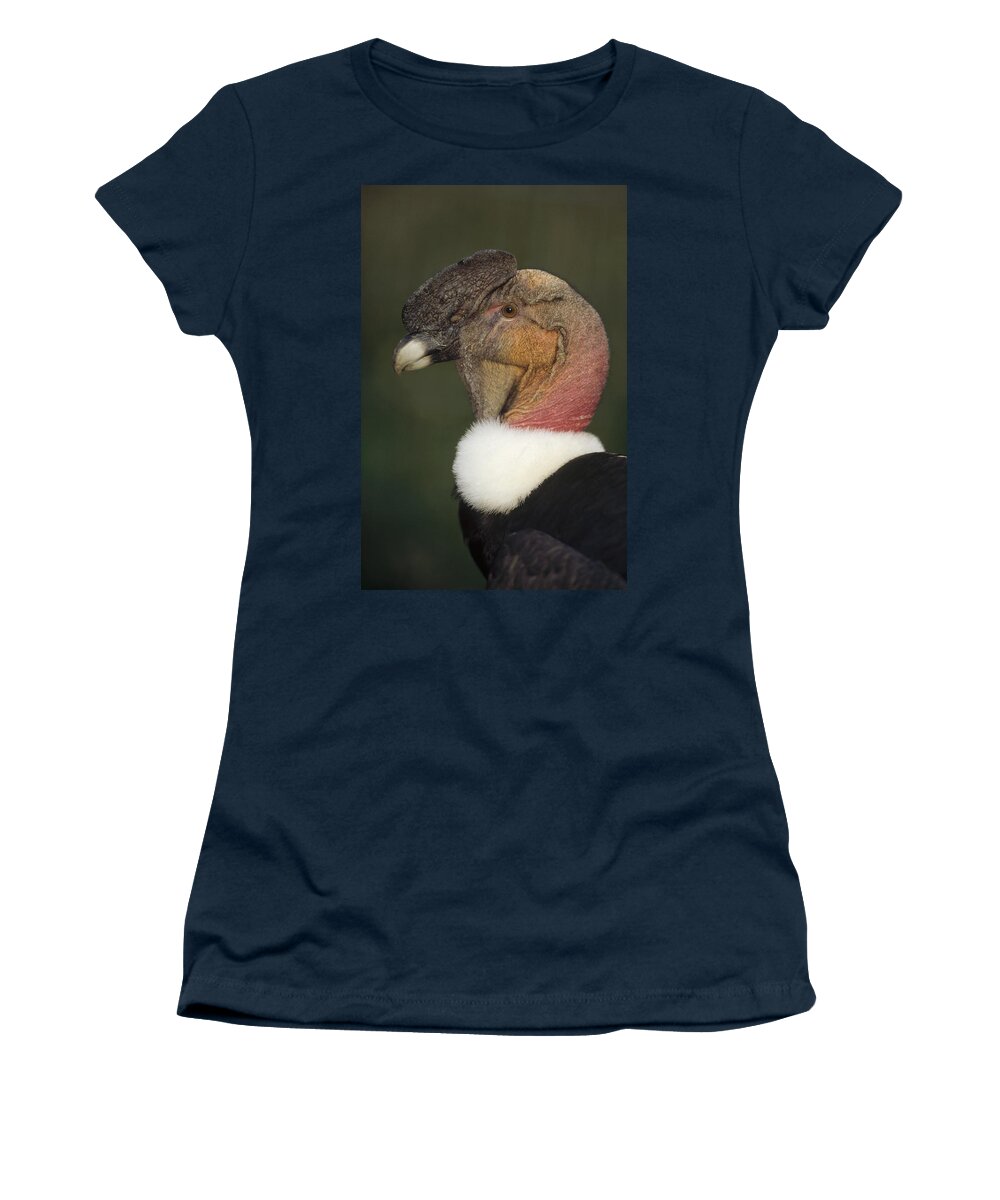 Feb0514 Women's T-Shirt featuring the photograph Andean Condor Flushing Brightly Ecuador by Tui De Roy