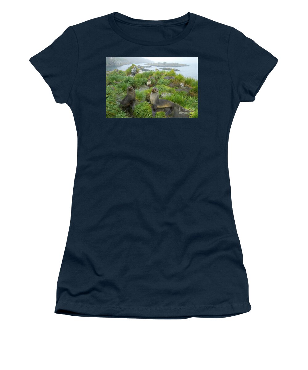 00345376 Women's T-Shirt featuring the photograph Three Antarctic Fur Seals by Yva Momatiuk John Eastcott