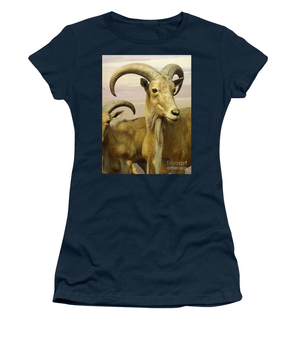 Aoudad Women's T-Shirt featuring the photograph Aoudad by Cindy Manero