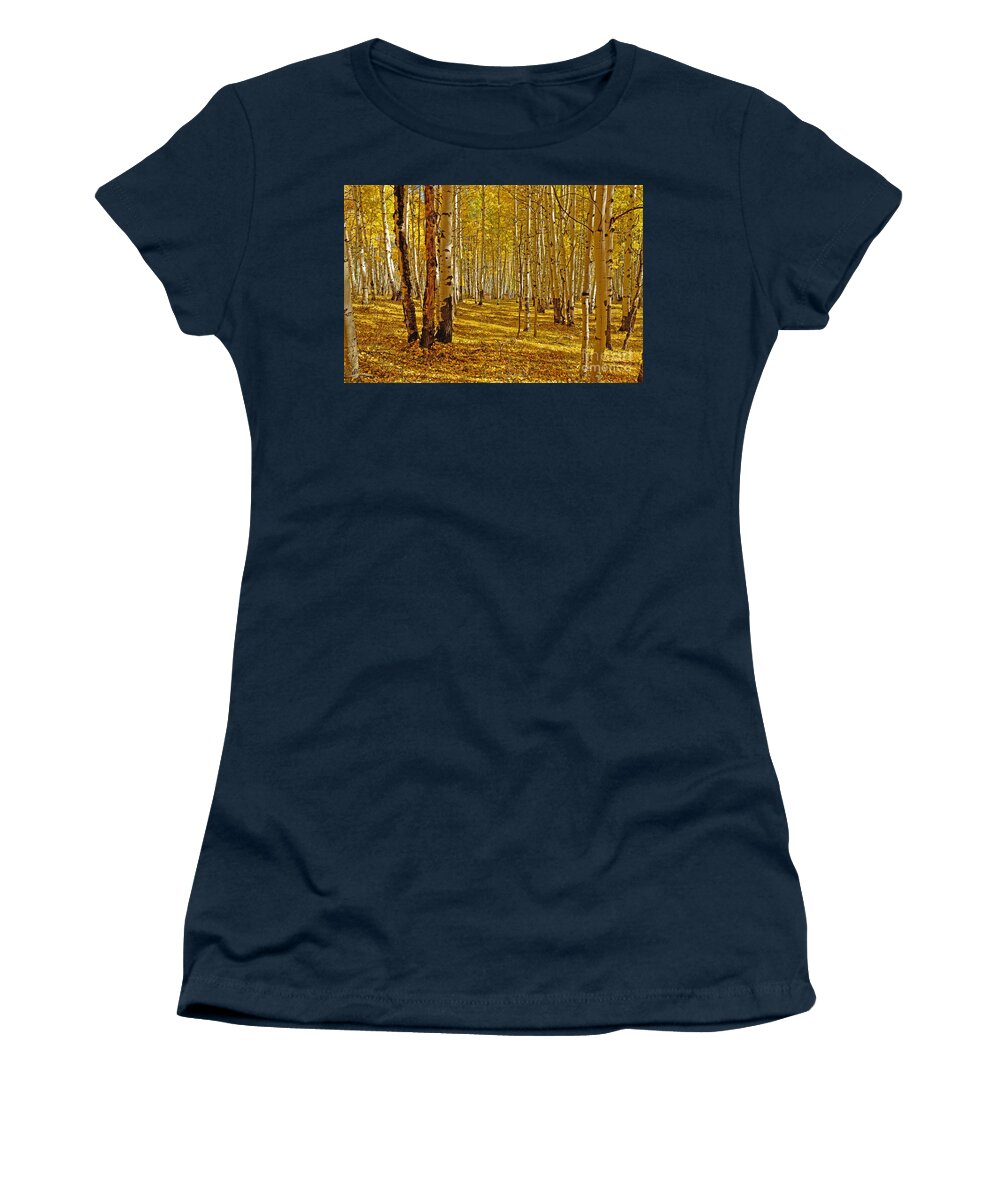 Aspen Women's T-Shirt featuring the photograph Aspen Sanctuary by Kelly Black