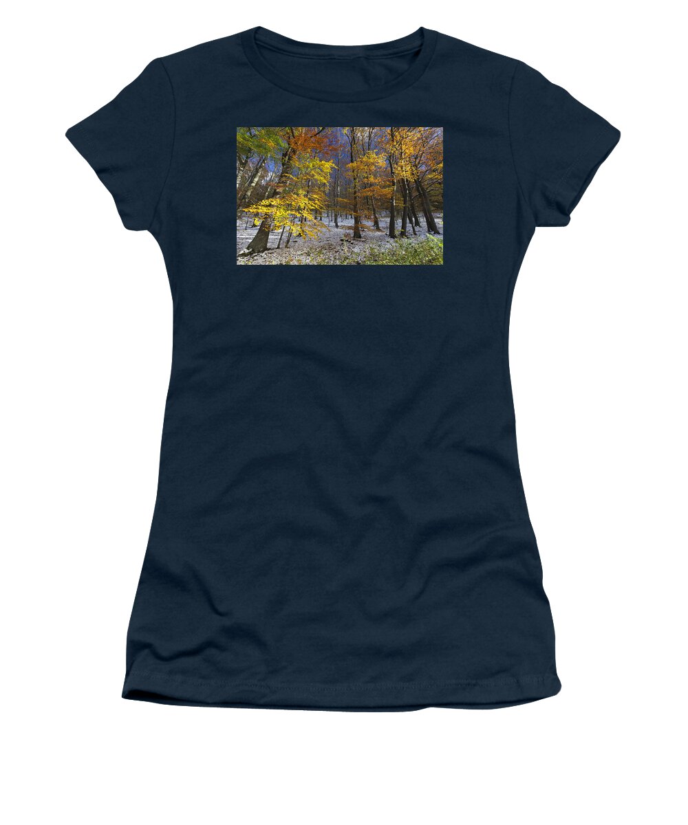 535672 Women's T-Shirt featuring the photograph Autumn Beech Forest Hessen Germany by Duncan Usher