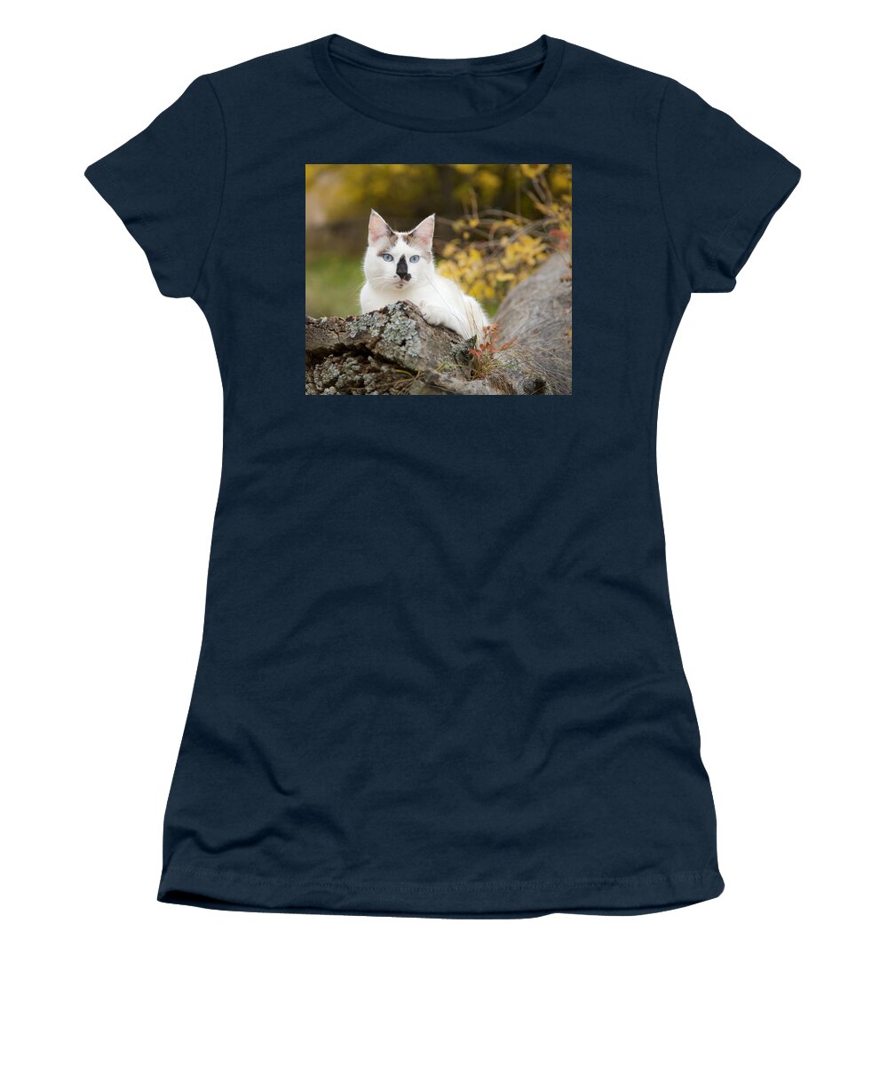 Autumn Women's T-Shirt featuring the photograph Autumn Cat by Theresa Tahara
