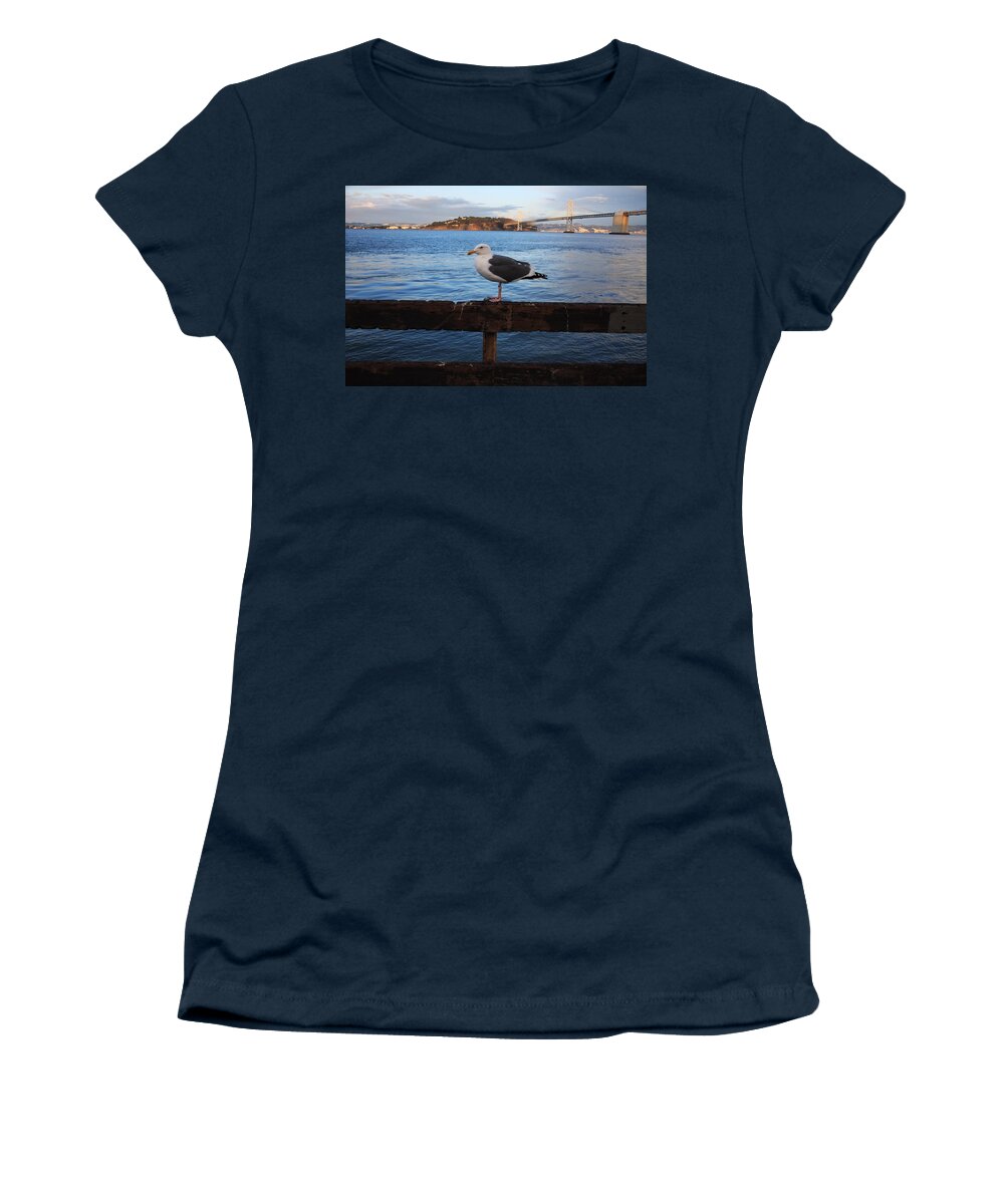 Seagull. Bay Bridge Women's T-Shirt featuring the photograph Bay Bridge Seagull by Aidan Moran