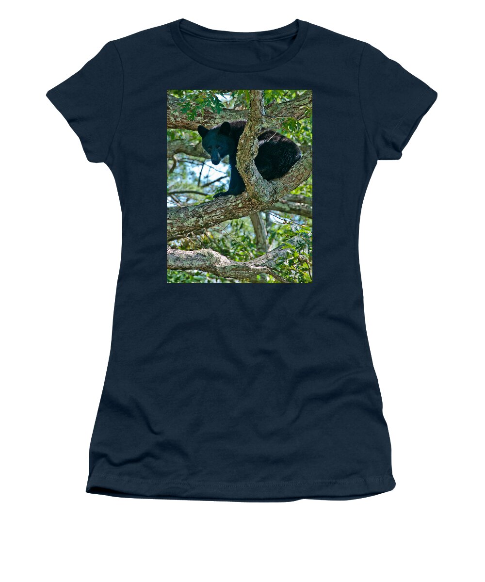 Bears Women's T-Shirt featuring the photograph Bear Cub Looking for Acorns by Brenda Jacobs