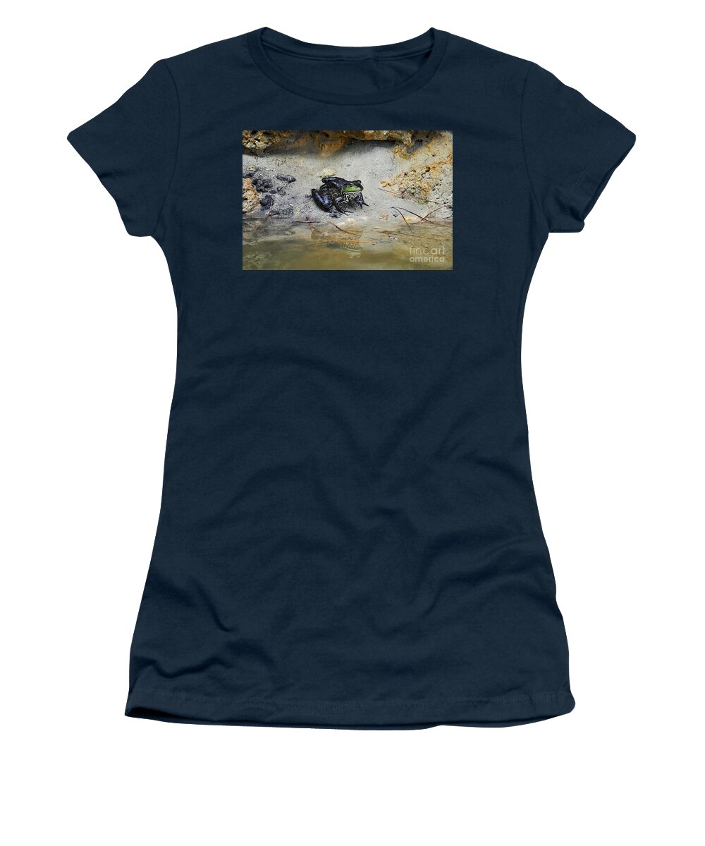 Bullfrog Women's T-Shirt featuring the photograph Beautiful Bullfrog by Al Powell Photography USA