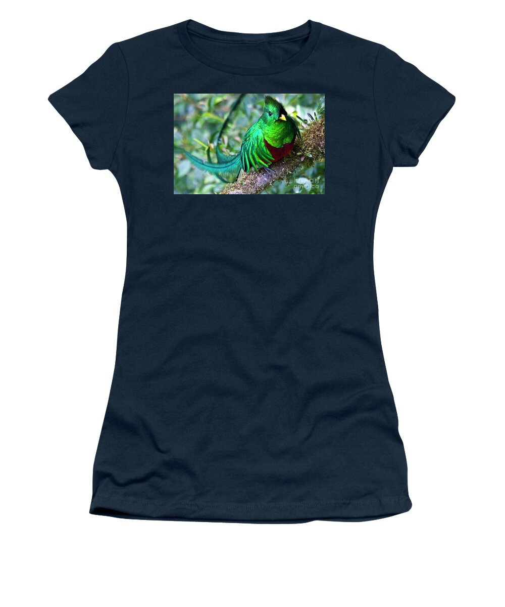 Quetzal Women's T-Shirt featuring the photograph Beautiful Quetzal 4 by Heiko Koehrer-Wagner