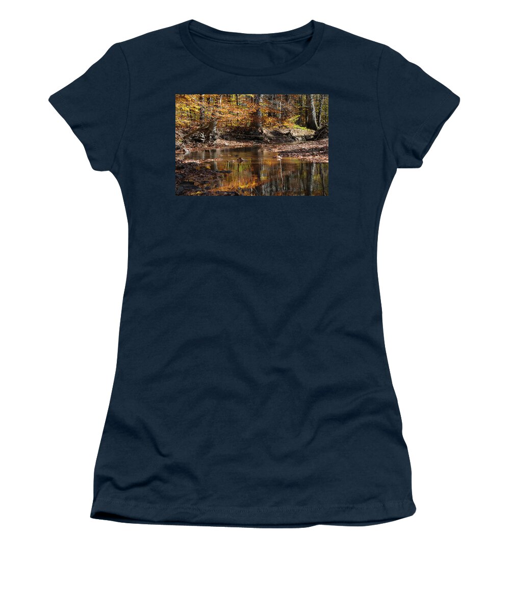 Landscape Women's T-Shirt featuring the photograph Beech Forest by Jack Harries