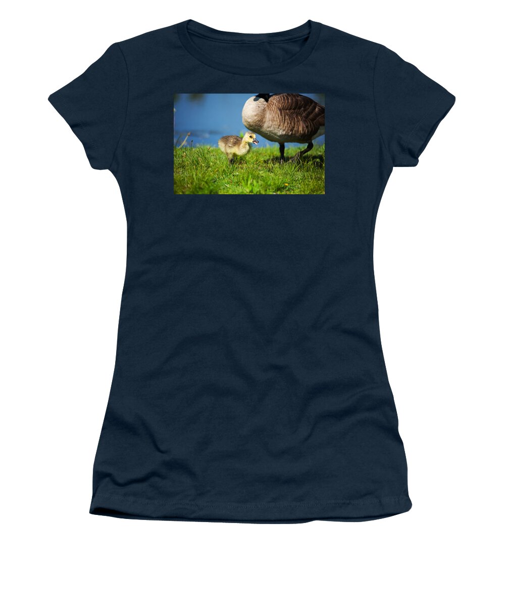 Being Watched Over Women's T-Shirt featuring the photograph Being Watched Over by Karol Livote