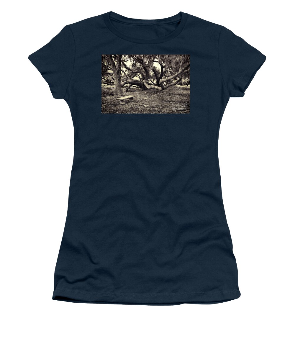 Trees Women's T-Shirt featuring the photograph Bench and Trees BW by David Arment