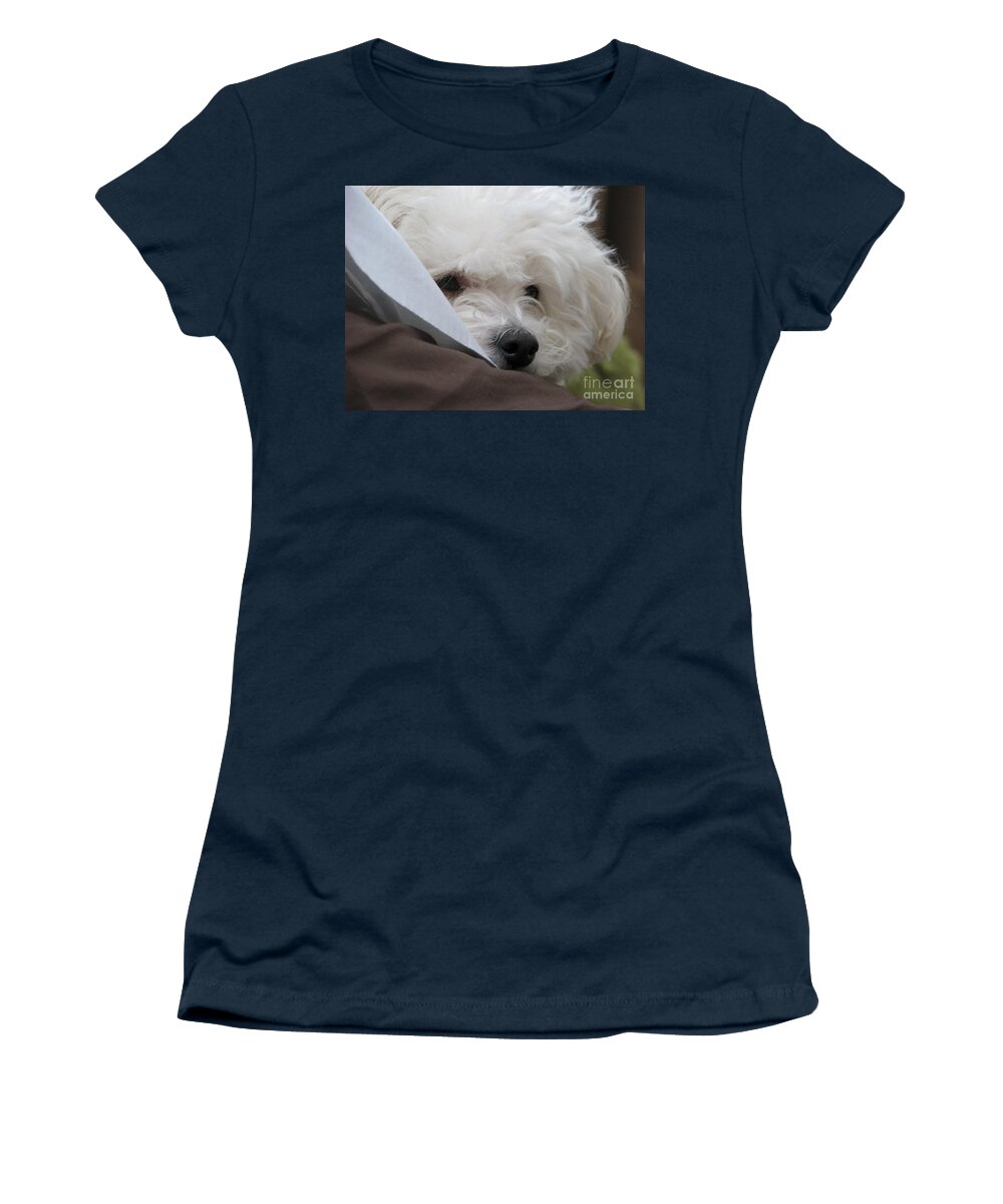 Bichon Friese Women's T-Shirt featuring the photograph Molly by Michael Krek