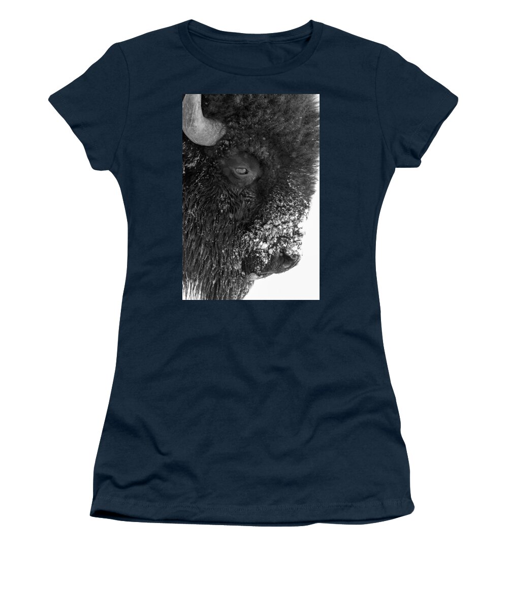 Bison Women's T-Shirt featuring the photograph Bison in Black and White by Tony Hake