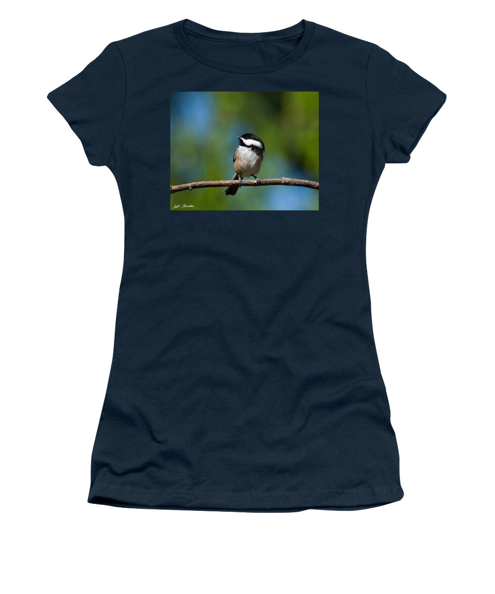 Animal Women's T-Shirt featuring the photograph Black Capped Chickadee Perched on a Branch by Jeff Goulden