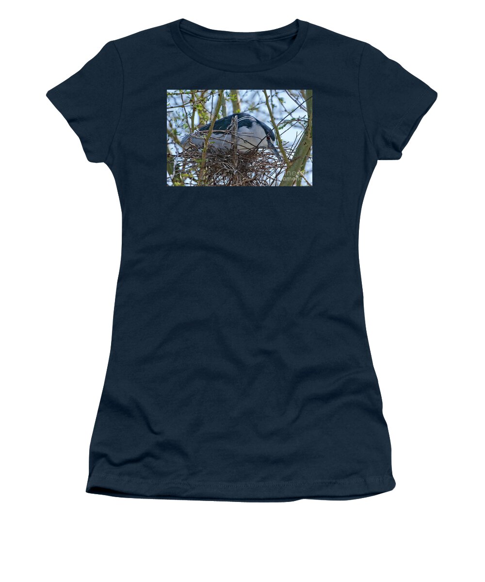 Animal Women's T-Shirt featuring the photograph Black-crowned Night-heron On Nest by Anthony Mercieca