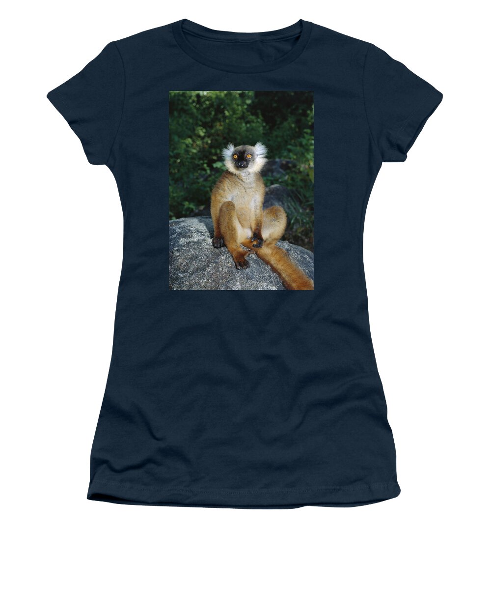 Feb0514 Women's T-Shirt featuring the photograph Black Lemur Female Madagascar by Konrad Wothe