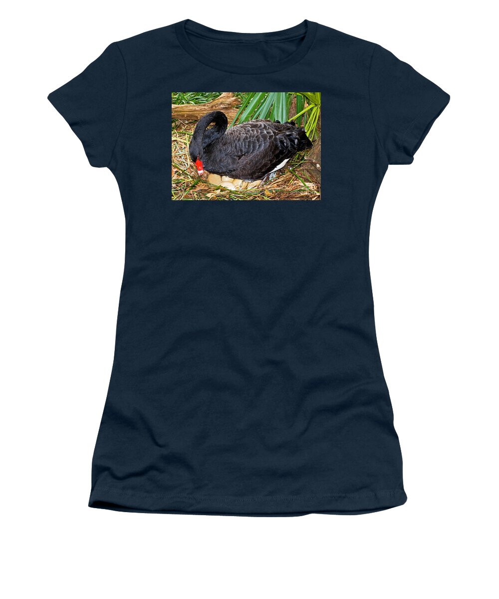 Nature Women's T-Shirt featuring the photograph Black Swan At Nest by Millard H. Sharp