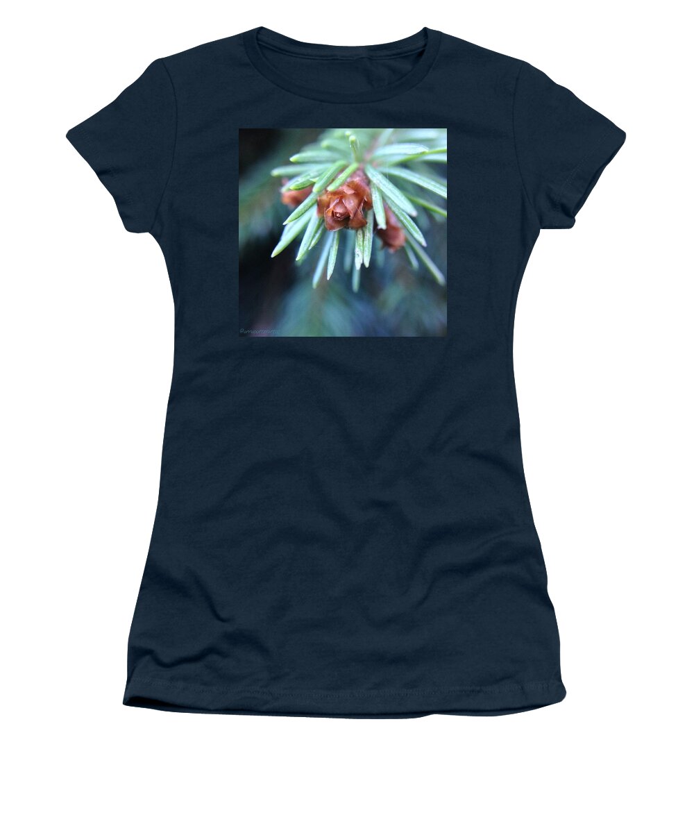 Branch Tips Ii Blue Spruce Women's T-Shirt featuring the photograph Branch Tips II Blue Spruce by Anna Porter