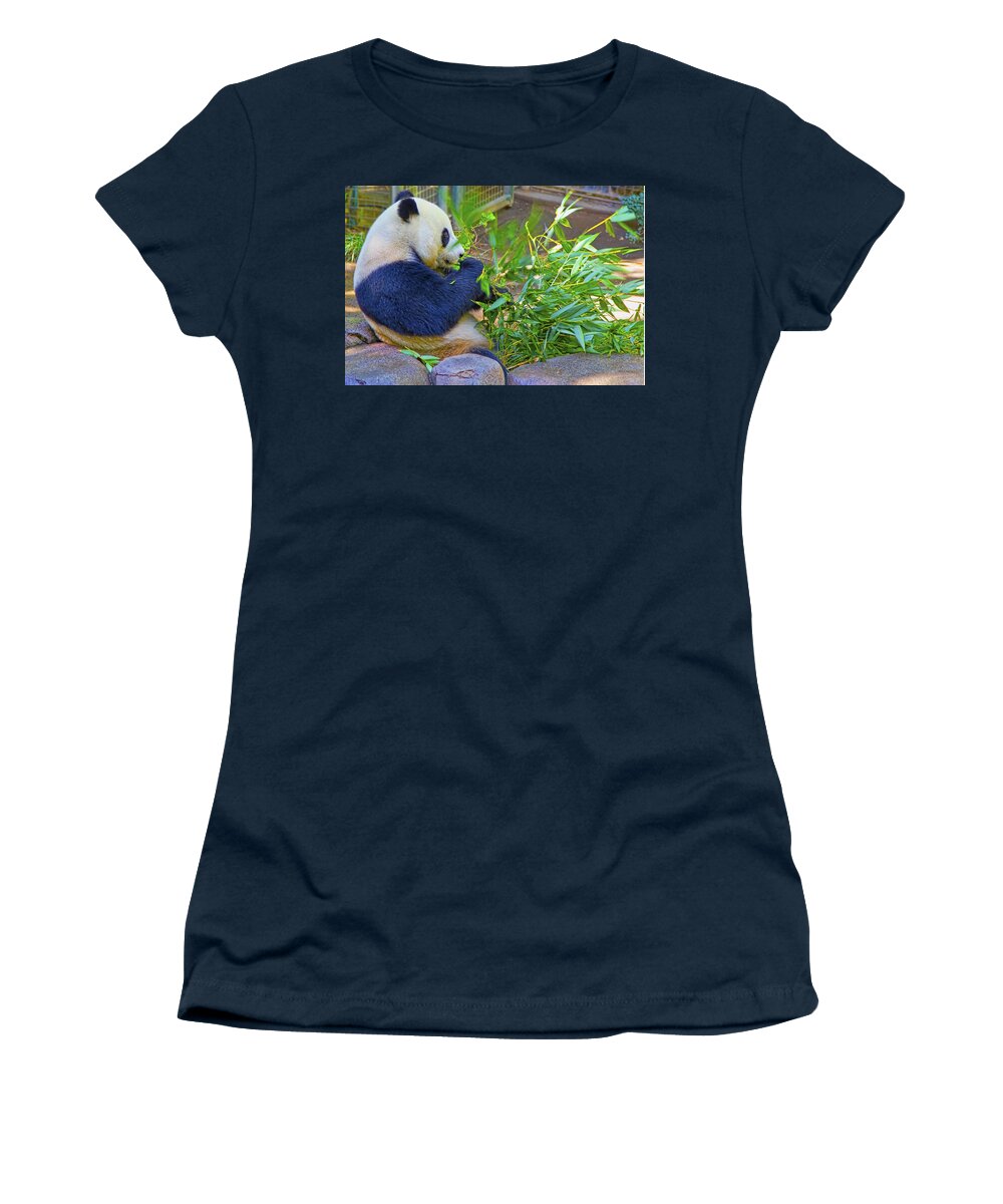 Bamboo Women's T-Shirt featuring the photograph Brunch on the Patio by Gary Holmes