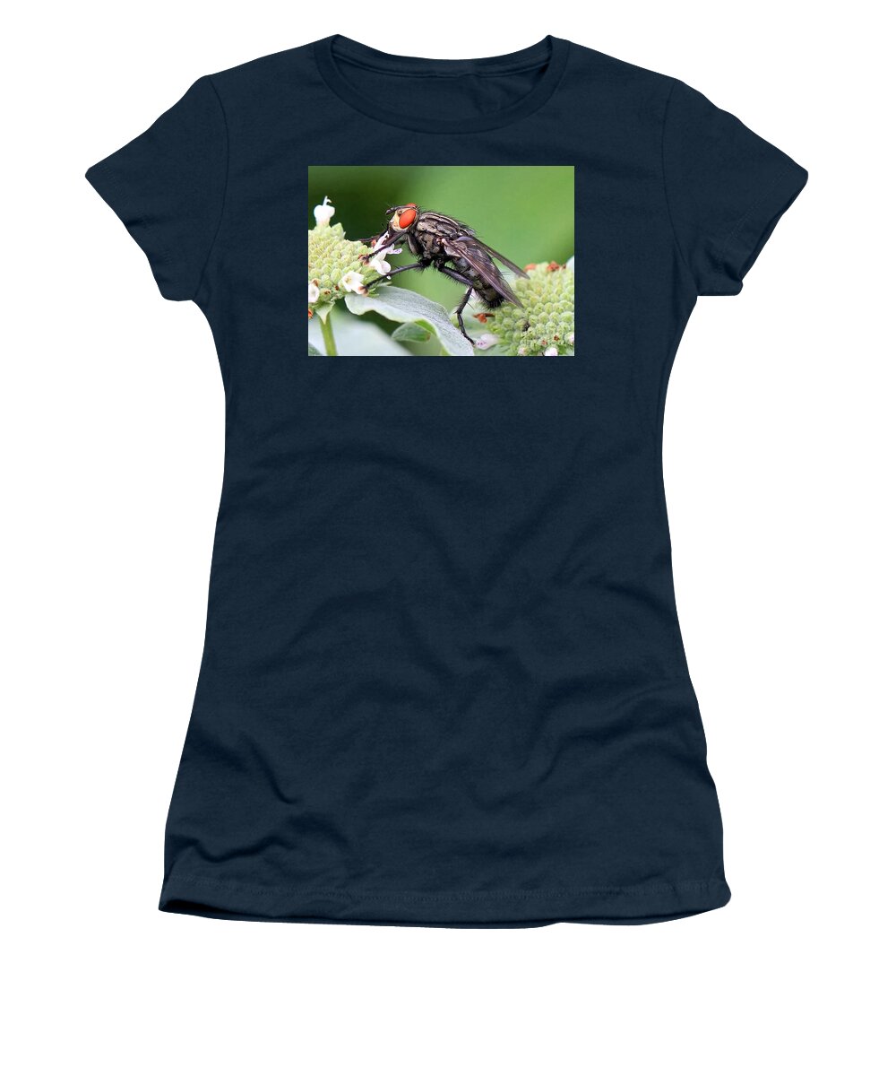 Bugs Women's T-Shirt featuring the photograph Bugeyed by Geoff Crego