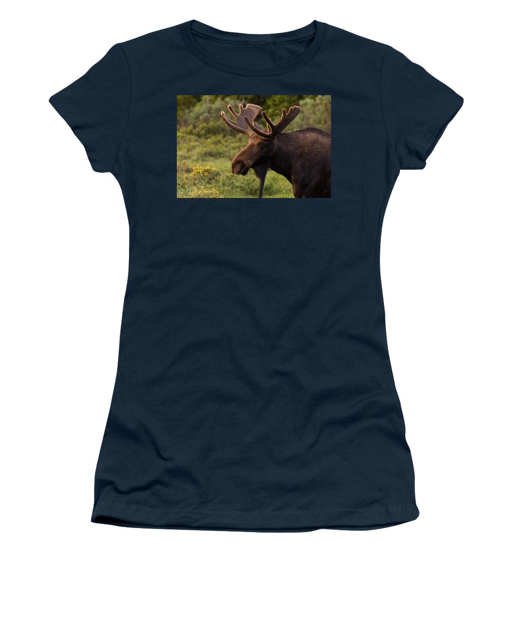 Moose Women's T-Shirt featuring the photograph Bull Moose at Sunrise by Tony Hake