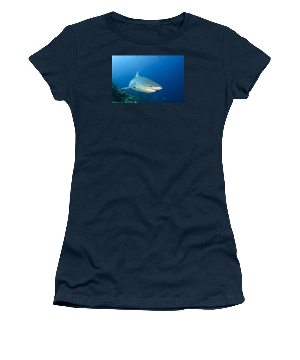 Pete Oxford Women's T-Shirt featuring the photograph Bull Shark Beqa Lagoon Viti Levu Fiji by Pete Oxford