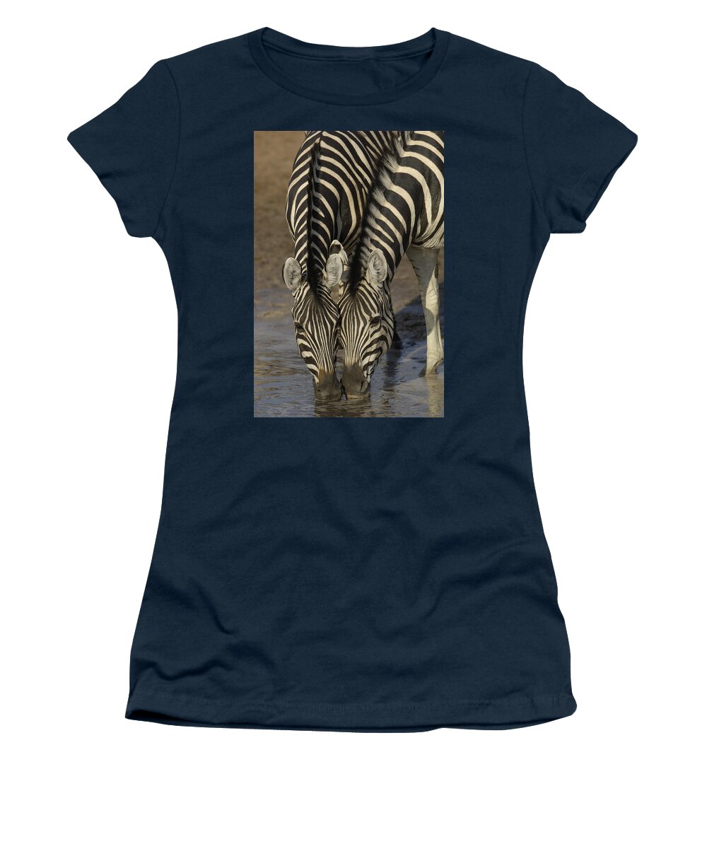 Feb0514 Women's T-Shirt featuring the photograph Burchells Zebras Drinking Africa by Pete Oxford