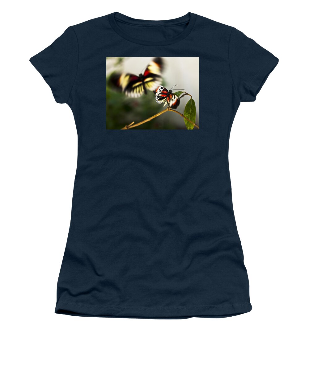 Butterfly Women's T-Shirt featuring the photograph Butterfly In Flight by Bradley R Youngberg