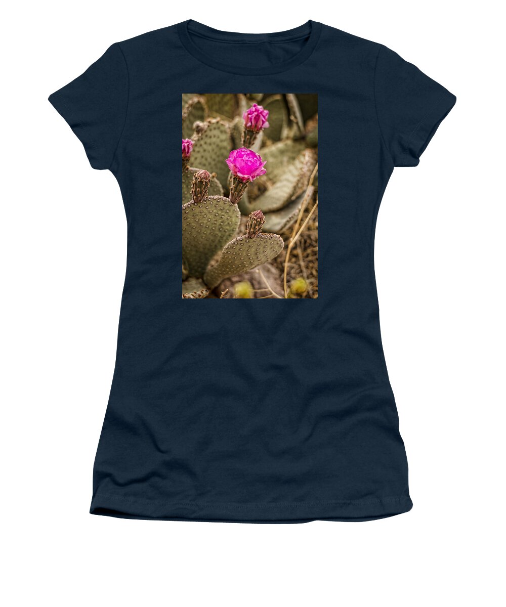 Cactus Women's T-Shirt featuring the photograph Cactus Flowers by Heather Applegate