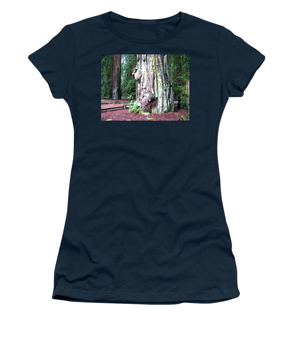 California Redwoods 4 Women's T-Shirt featuring the digital art California Redwoods 4 by Will Borden