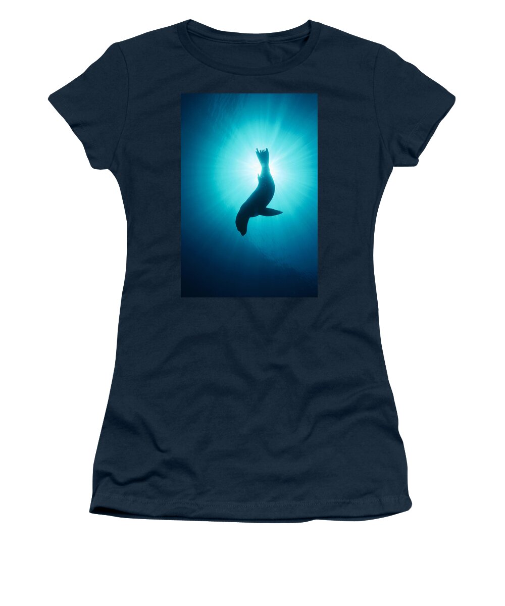 Feb0514 Women's T-Shirt featuring the photograph California Sea Lion Channel Islands Np by Flip Nicklin