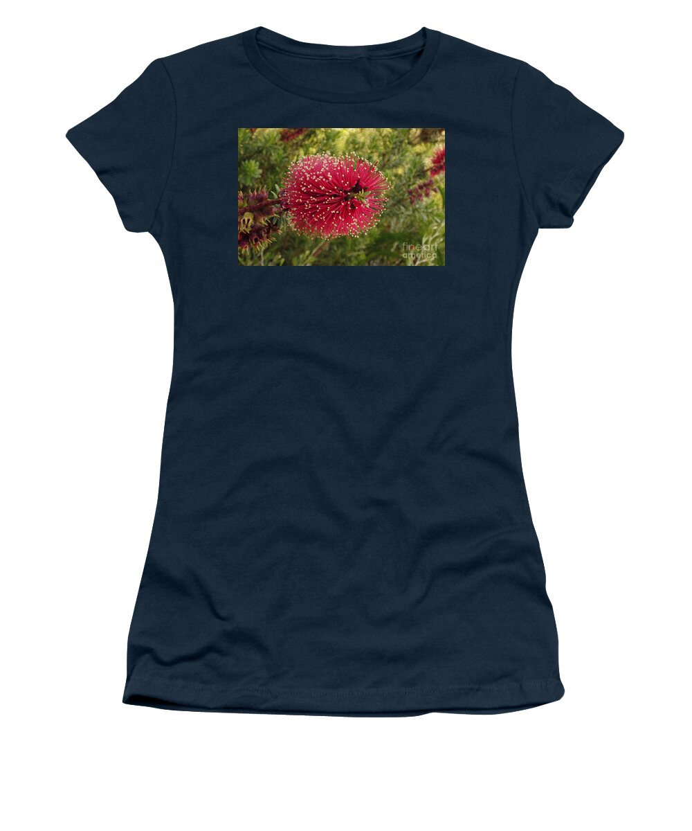 Bottlebrush Women's T-Shirt featuring the photograph Callistemon I by Cassandra Buckley