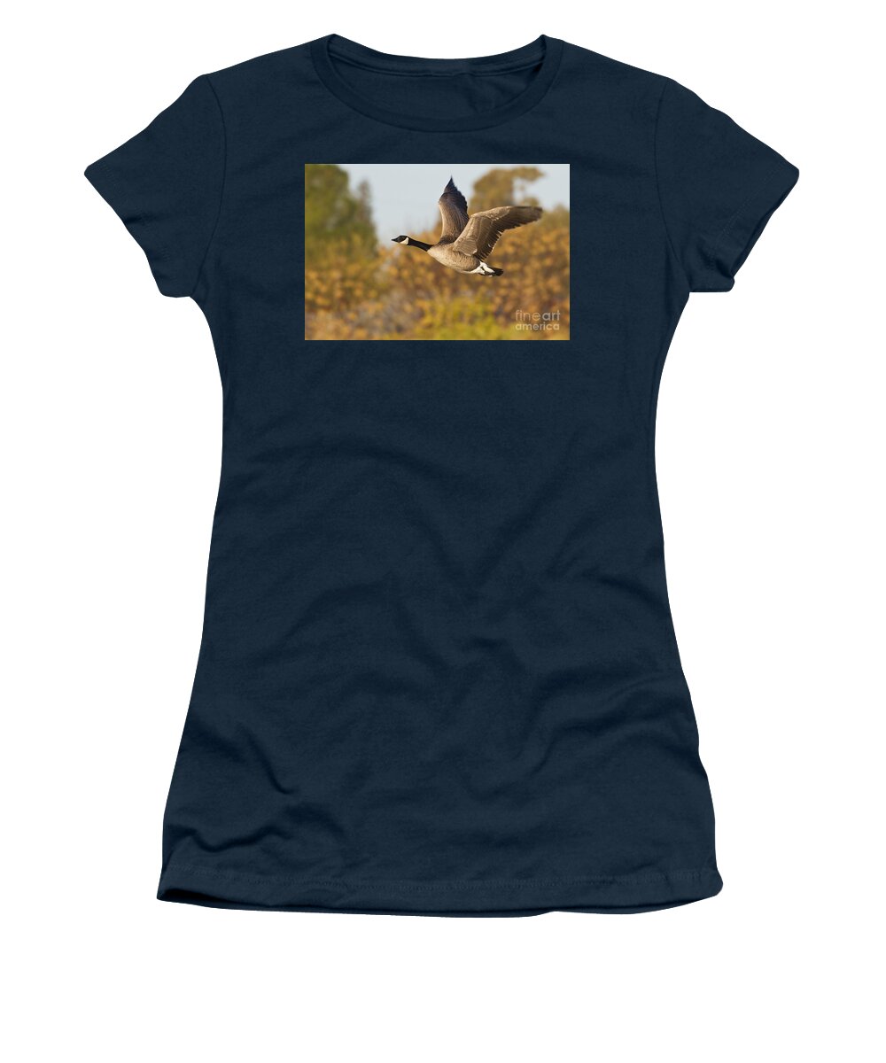 Goose Women's T-Shirt featuring the photograph Canada Goose in the skies by Bryan Keil