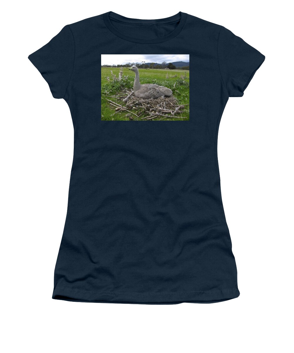 531272 Women's T-Shirt featuring the photograph Cape Barren Goose Nesting Maria Isl by D. Parer & E. Parer-Cook