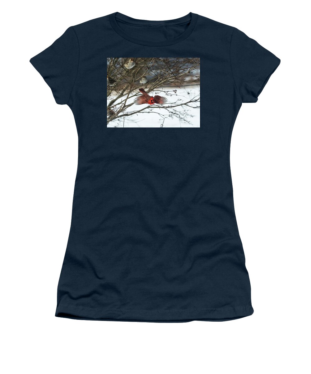 Jan Holden Women's T-Shirt featuring the photograph Cardinal in Flight by Holden The Moment