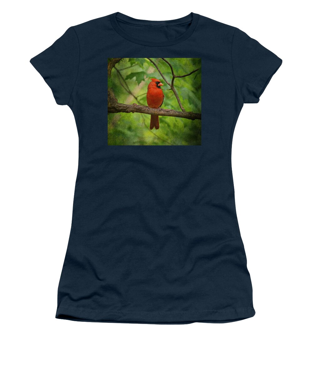 Cardinal Women's T-Shirt featuring the photograph Cardinal in Spring by Sandy Keeton