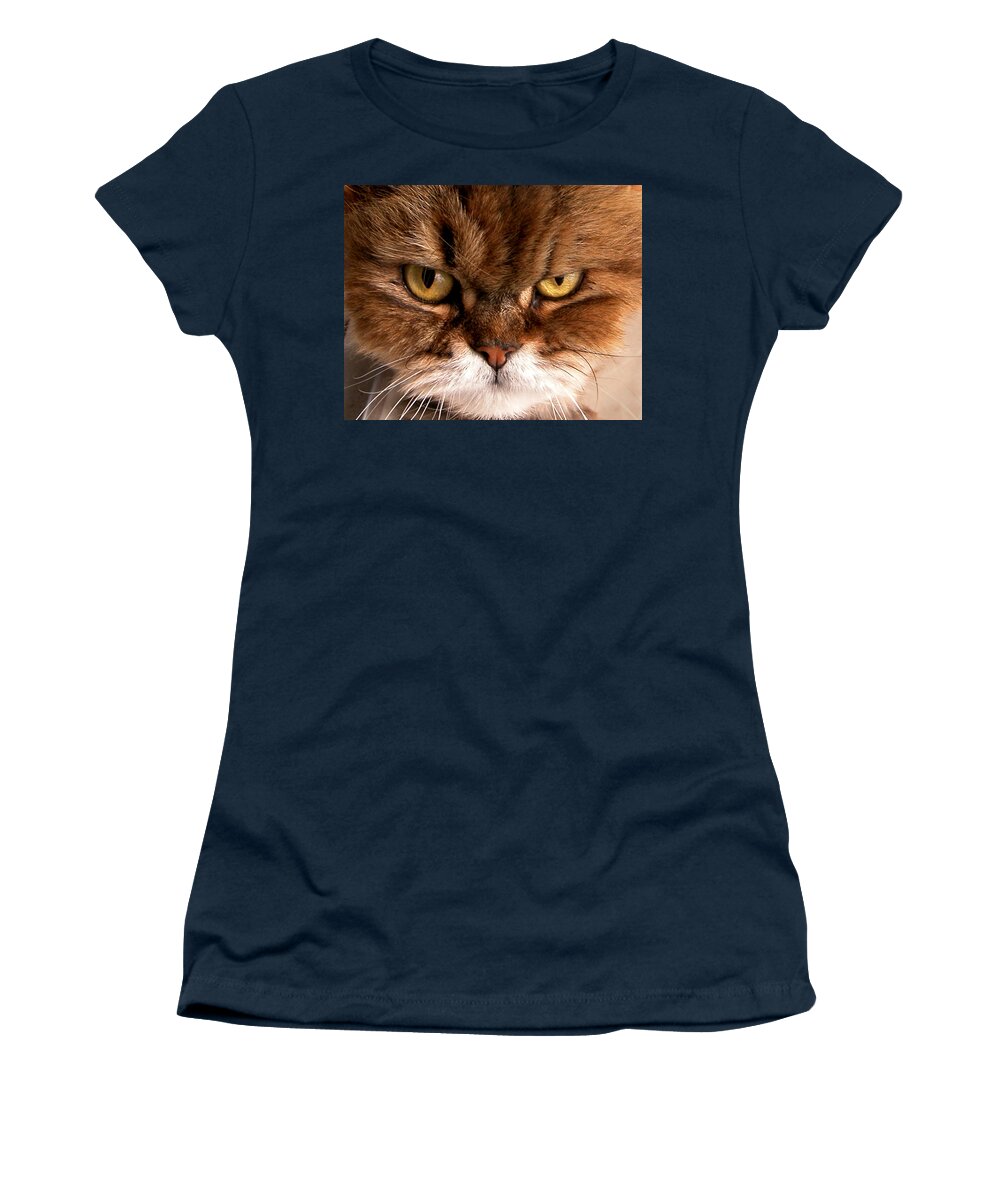 Cat Women's T-Shirt featuring the photograph Catitude by Paul Schreiber