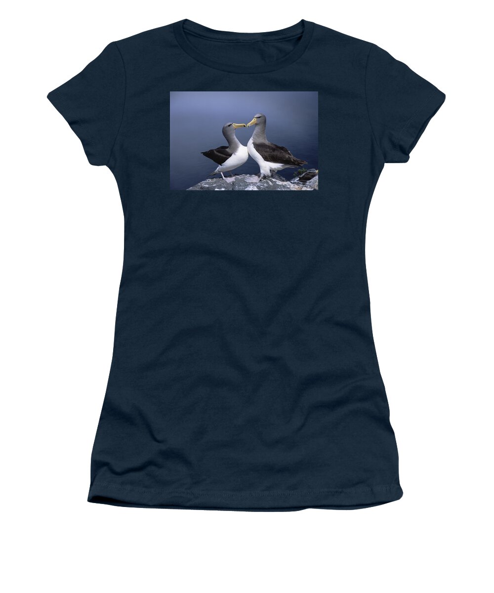 Feb0514 Women's T-Shirt featuring the photograph Chatham Albatross Courting Pair Chatham by Tui De Roy