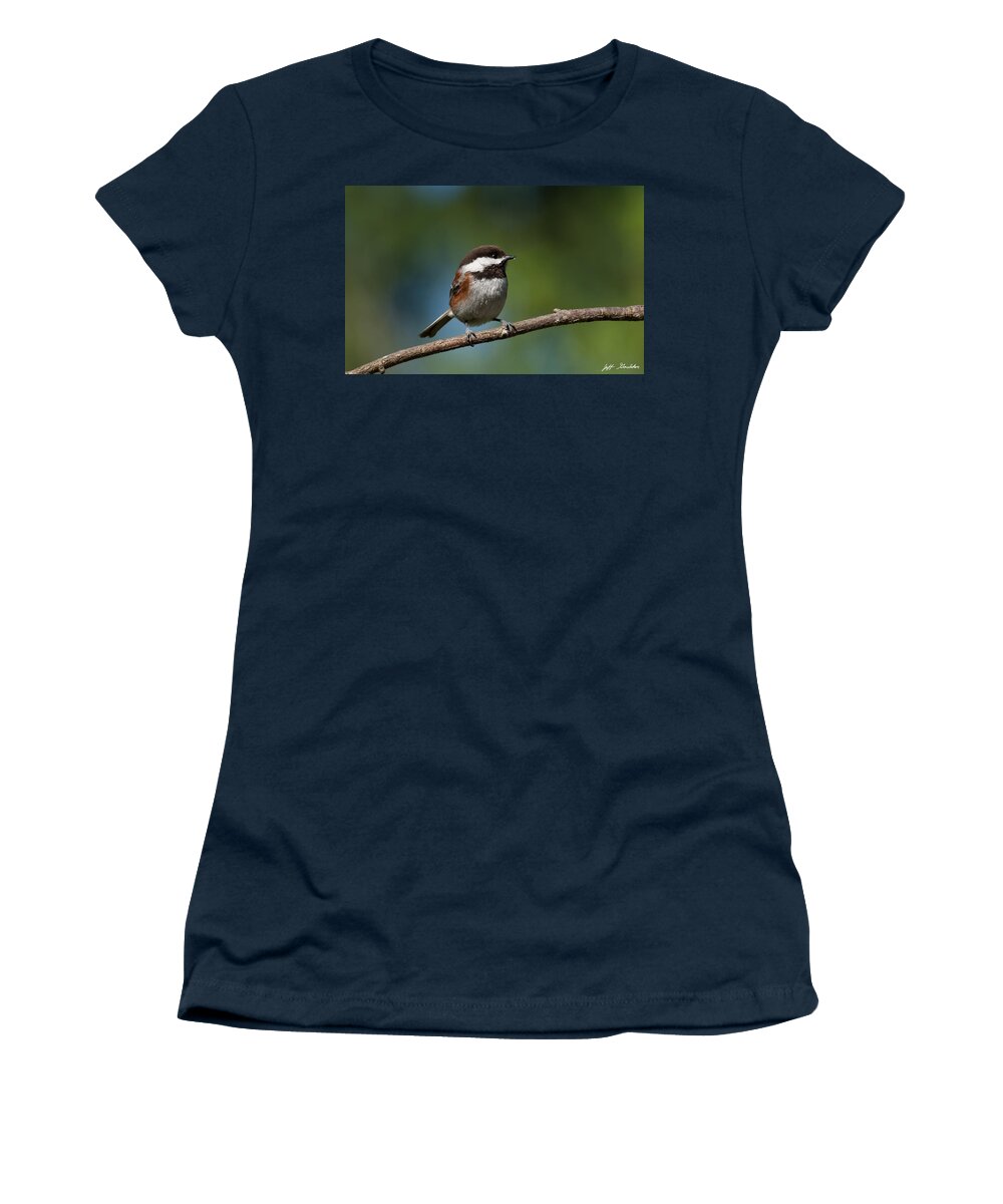 Animal Women's T-Shirt featuring the photograph Chestnut Backed Chickadee Perched on a Branch by Jeff Goulden