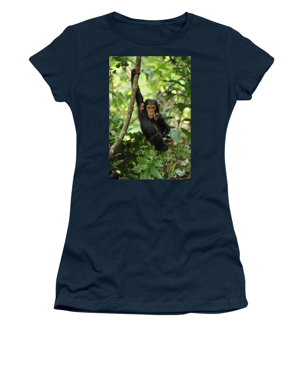 Thomas Marent Women's T-Shirt featuring the photograph Chimpanzee Baby On Liana Gombe Stream by Thomas Marent