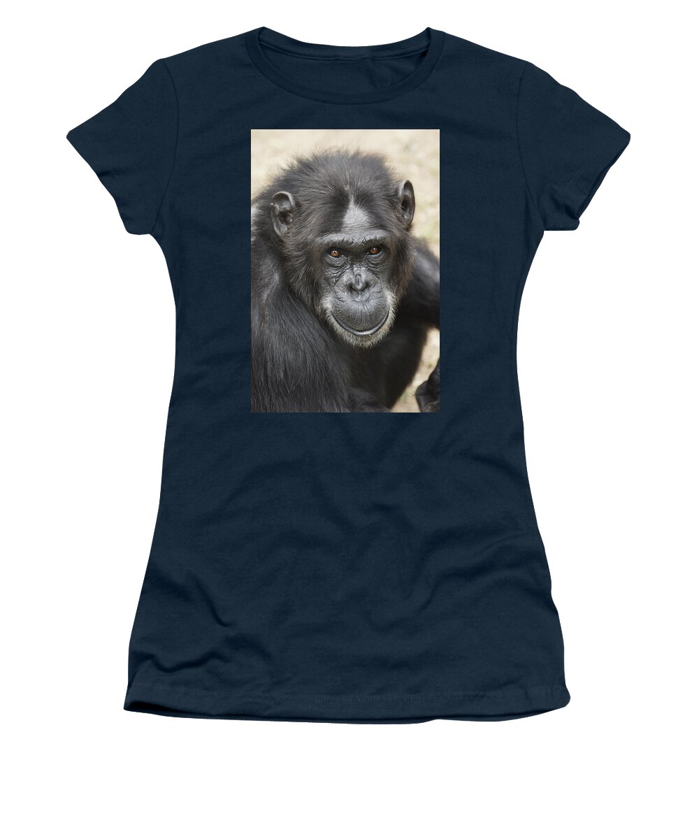 Hiroya Minakuchi Women's T-Shirt featuring the photograph Chimpanzee Portrait Ol Pejeta by Hiroya Minakuchi