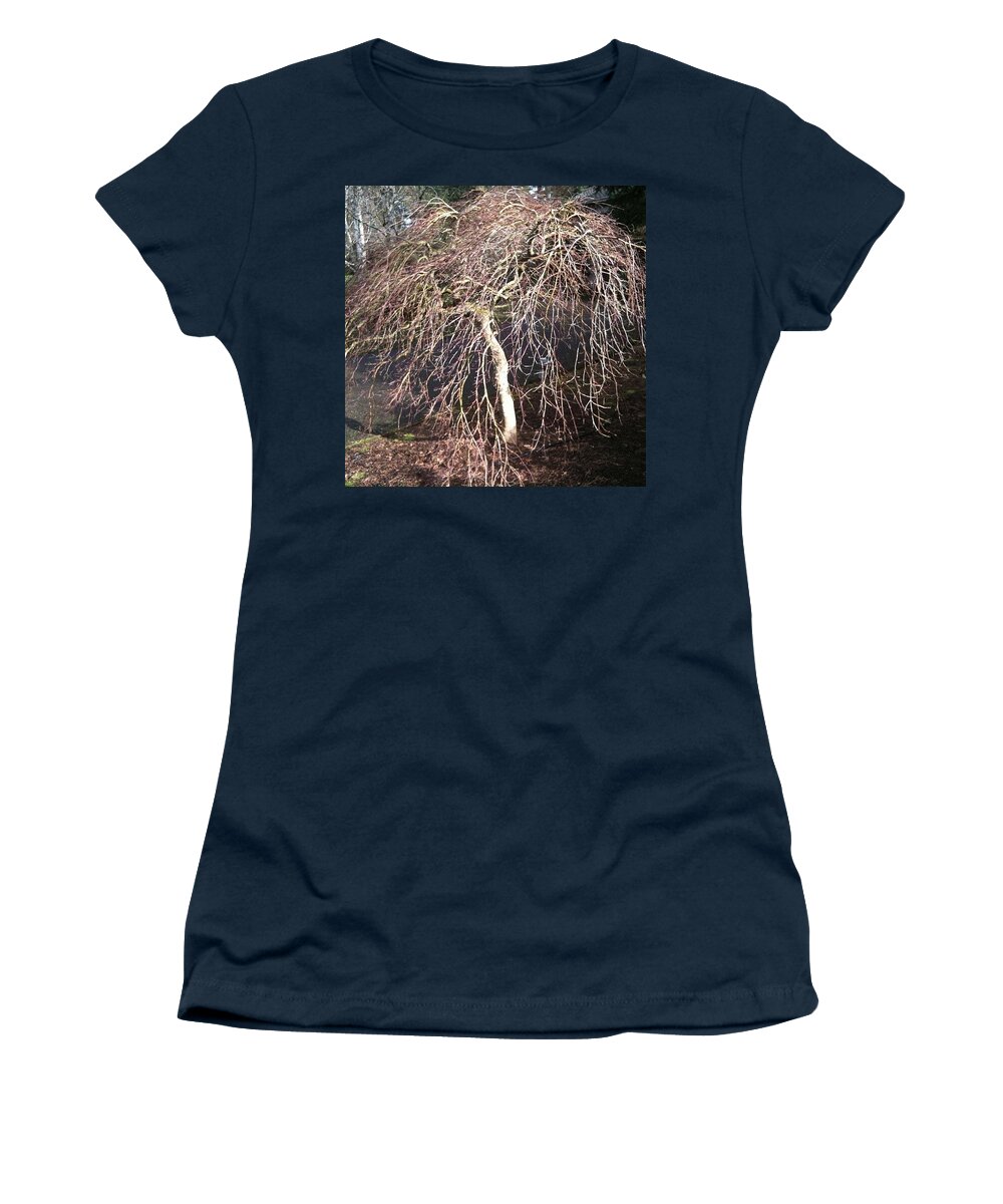 Trees Women's T-Shirt featuring the photograph Chinese Elm Winter Light #nofilter by Anna Porter