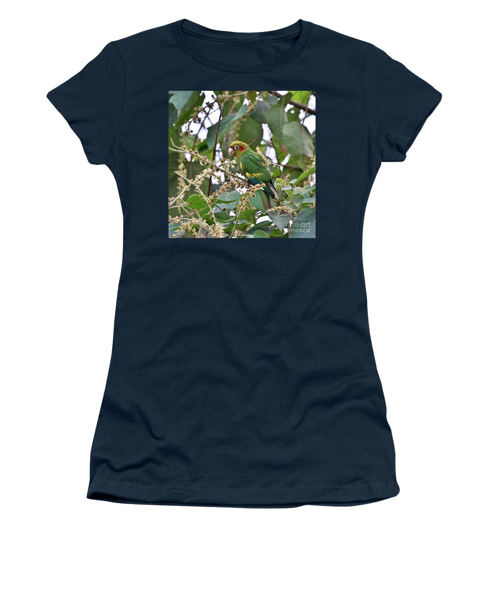 Parrot Women's T-Shirt featuring the photograph Chiriqui Conure by Heiko Koehrer-Wagner